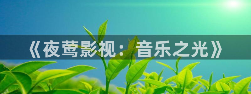 金桔视频下载：《夜莺影视：音乐之光》