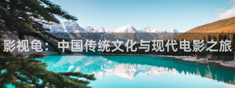 冰糖金桔的做法视频：影视龟：中国传统文化与现代电影之旅