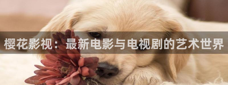 金桔影视下载：樱花影视：最新电影与电视剧的艺术世界