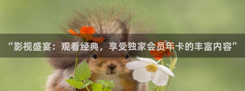 金桔柠檬汁视频：“影视盛宴：观看经典，享受独家会员年卡的丰富内容”