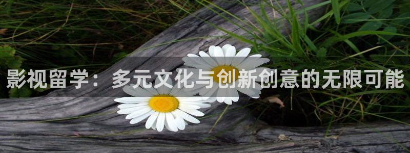 金桔影视app：影视留学：多元文化与创新创意的无限可能