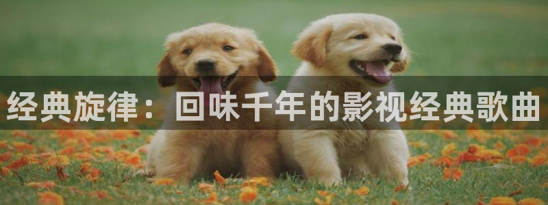 金桔影视下载安装视频：经典旋律：回味千年的影视经典歌曲