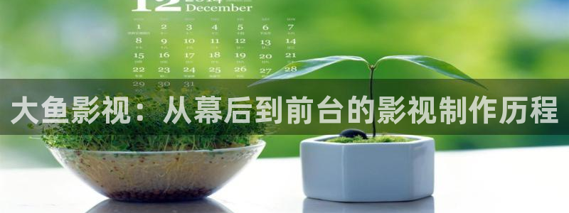 金桔视频免费下载：大鱼影视：从幕后到前台的影视制作历程
